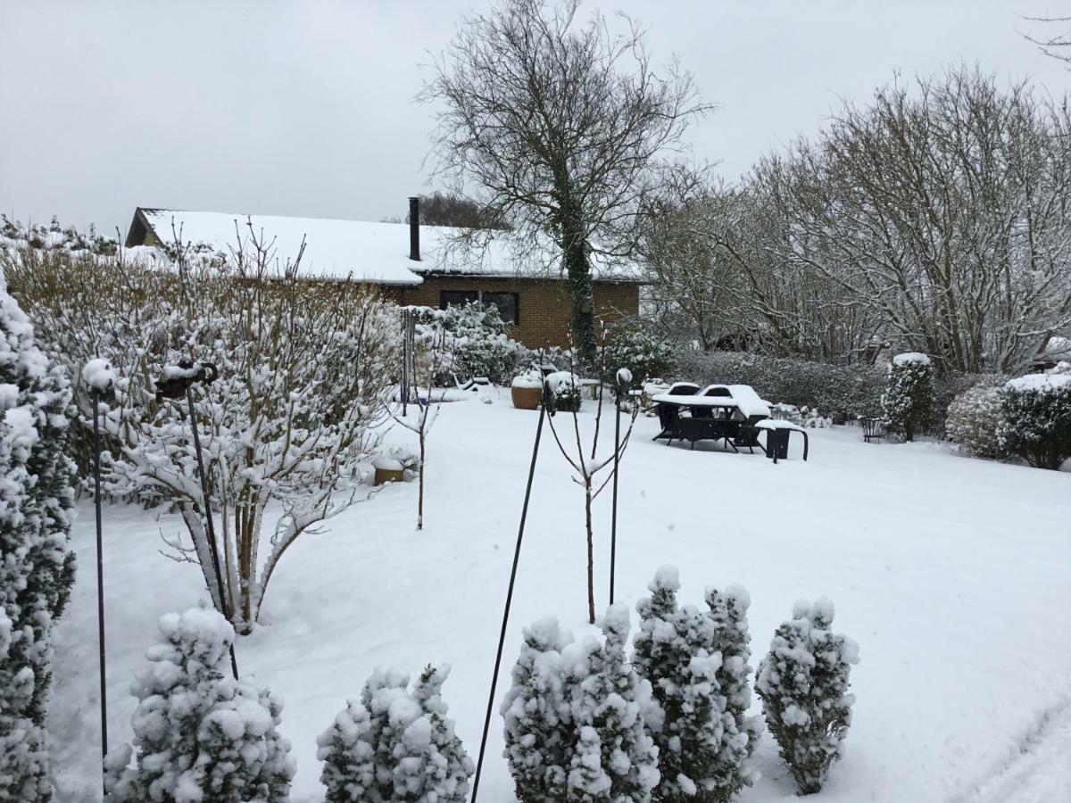Mit Bed & Breakfast Kolding Exterior foto